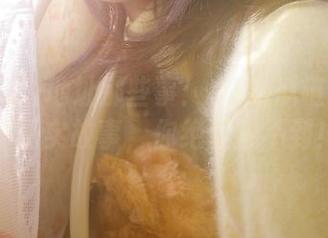 地址那些事：91吃瓜链接背后的真实故事，你绝对想不到！