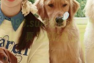 998.su网站的瓜你倒是给我来一打，真是越吃越上头！