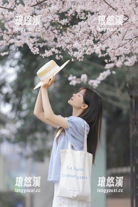 吃瓜网 吃瓜网的入口在哪儿?总有种期待,仿佛八卦正在悄然降临。