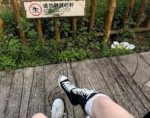 黑料正能量让我们一起观看，2025网址入口未解之谜？